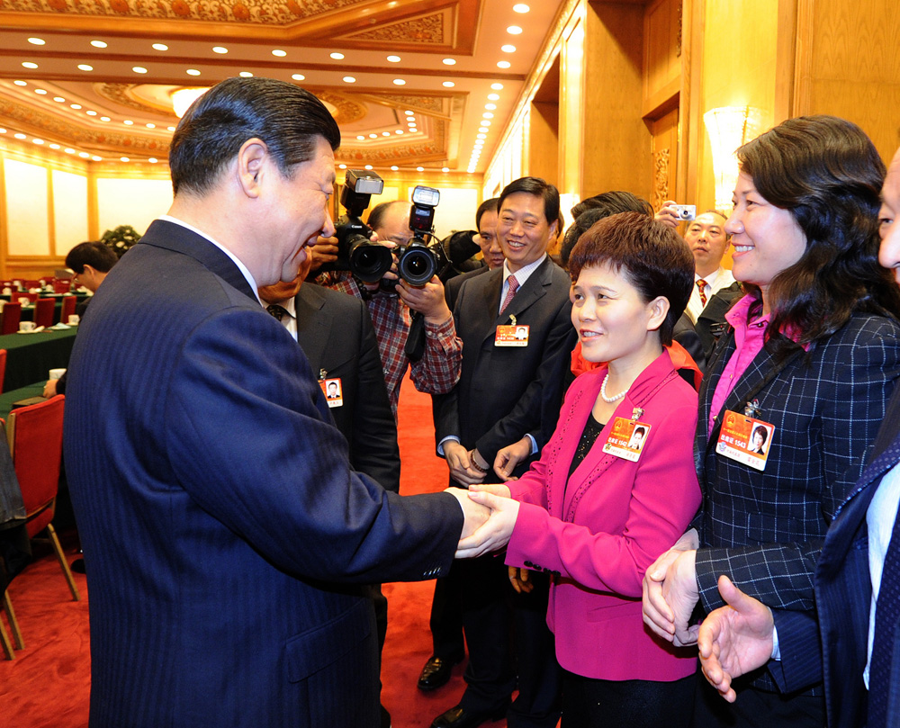 习近平主席看望河南代表团，与薛景霞代表亲切交谈